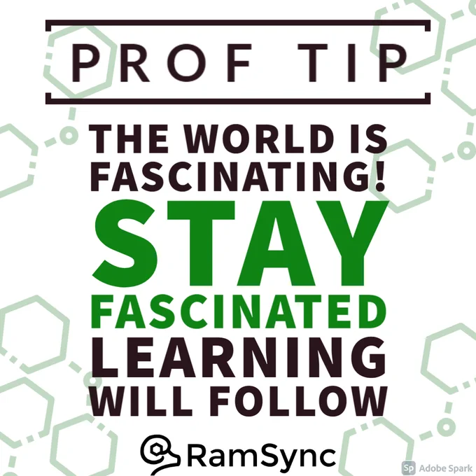 Prof Tip. The world is fascinating! Stay fascinated. Learning will follow. RamSync