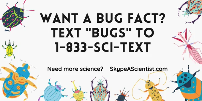 a parade of colorful bugs surrounds the words "WANT A BUG FACT? TEXT "BUGS" TO 1-833-SCI-TEXT. Need more science? SkypeAScientist.com