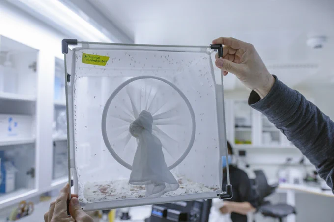 Positions available at MIMS (hosted at Umeå University and member of the Nordic EMBL Partnership for Molecular Medicine) at the field of malaria research. Check them out at http://www.mims.umu.se/jobs-fellowships.html