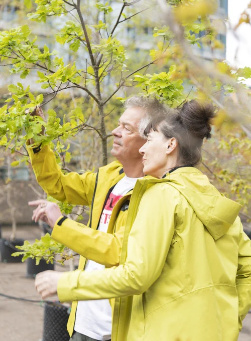 A man and a woman, artists Ackroyd and Harvey, looking at a tree, wearing green coats