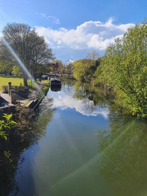 Sun shinning on a tree line canal, with a canal boat in view.