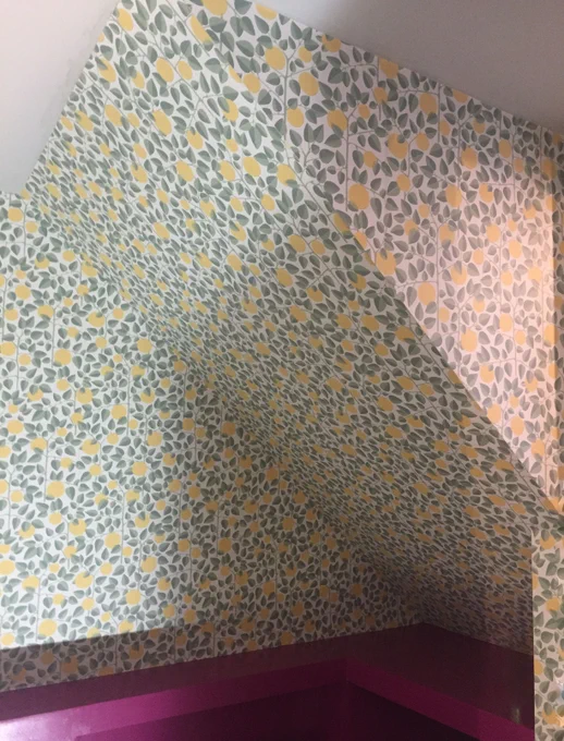 glimpse of the disabled toilet