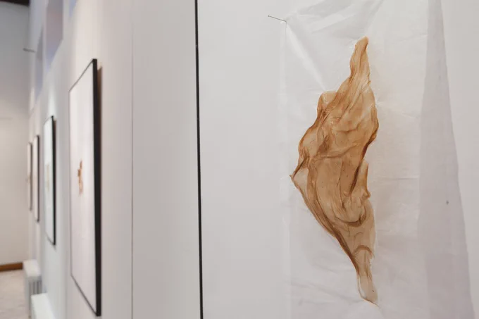 Exhibition view. Skin Studies displayed in frames, white background
