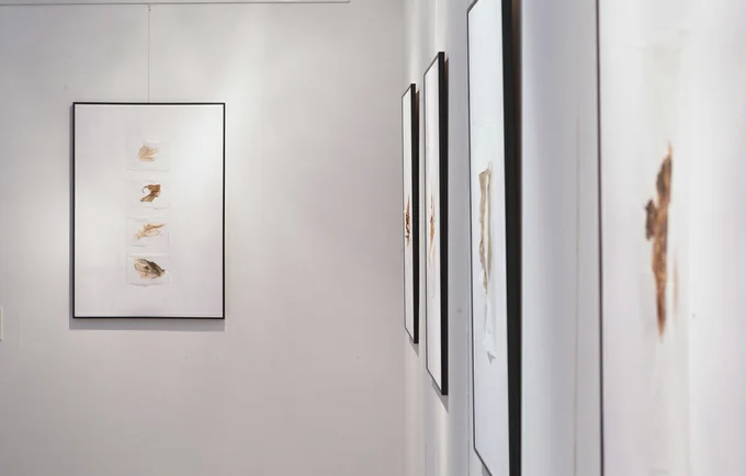 Exhibition view. Skin Studies displayed in frames,