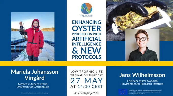Low Trophic Life webinar Enhacing Oyster production wotu artificial intelligence and new protocols. 27 May 2021.