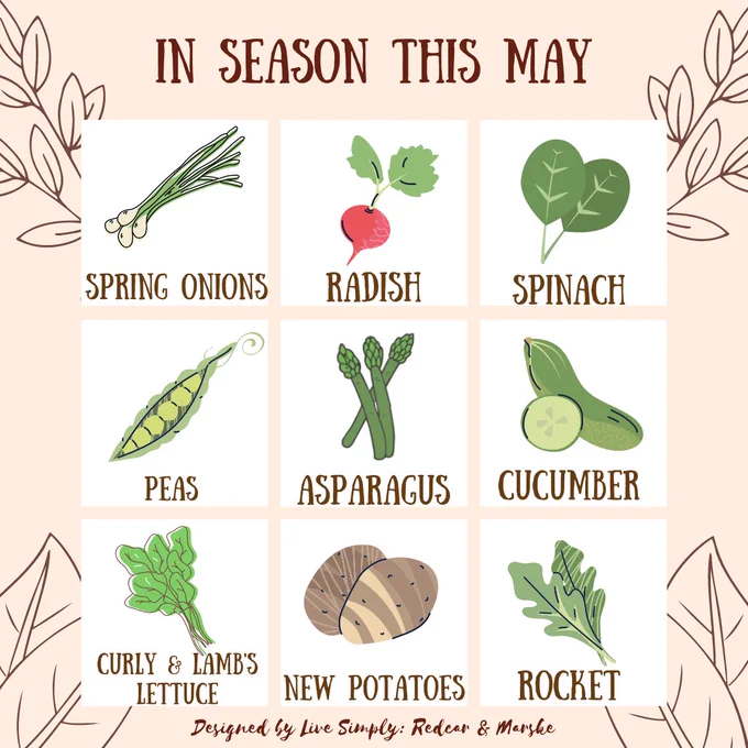 Infographic showing which vegetables are in season in the UK this May: Spring Onions, Radish, Spinach, Peas, Asparagus, Cucumber, Curly and Lamb's Lettuce, New Potatoes, and Rocket.