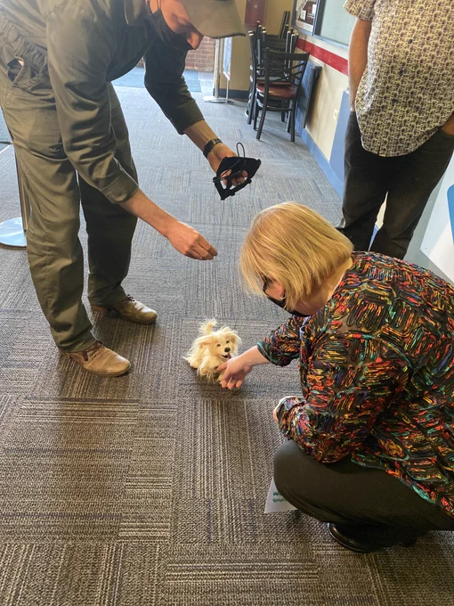 Dr Arwady petting a marionette dog, operated by @rootstockpuppet.