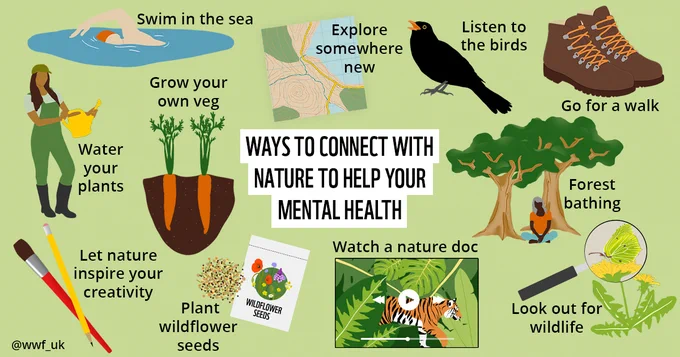 Illustration outlining ways to connect with nature to help your mental health.
Suggestions include swimming in the sea, exploring somewhere new, growing your own vegetables, listening to the birds, going for a walk, forest bathing, planting wildflower seeds, looking out for wildlife.