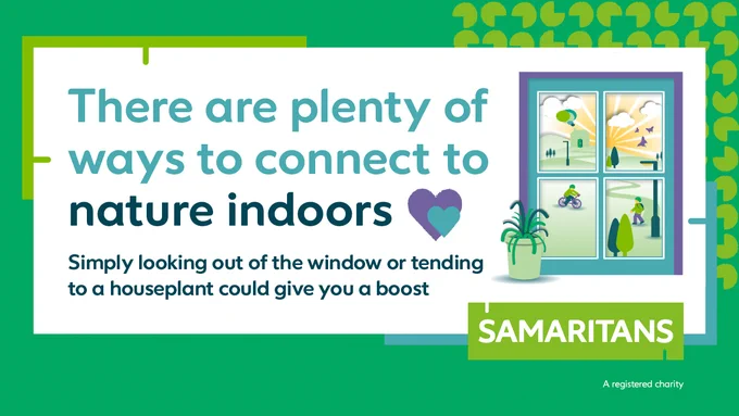 There are plenty of ways to connect to nature indoors 

Simply looking out of the window or tending to a houseplant could give you a boost