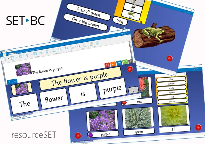 Three pages of Clicker activities. A sentence building page, a colour assigning activity and a sentence completion activity.