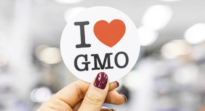 A hand with painted fingernails holding an "I ❤️ GMO" sticker
