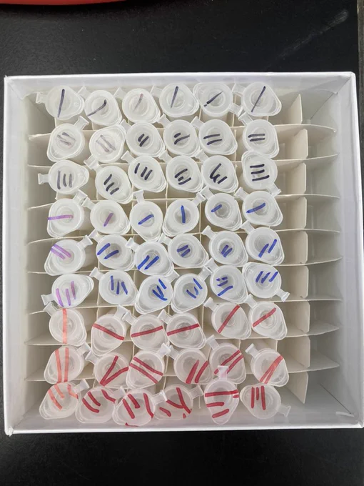 1.5 ml tubes with one, two, or three stripes of black, blue, or red marker on top.