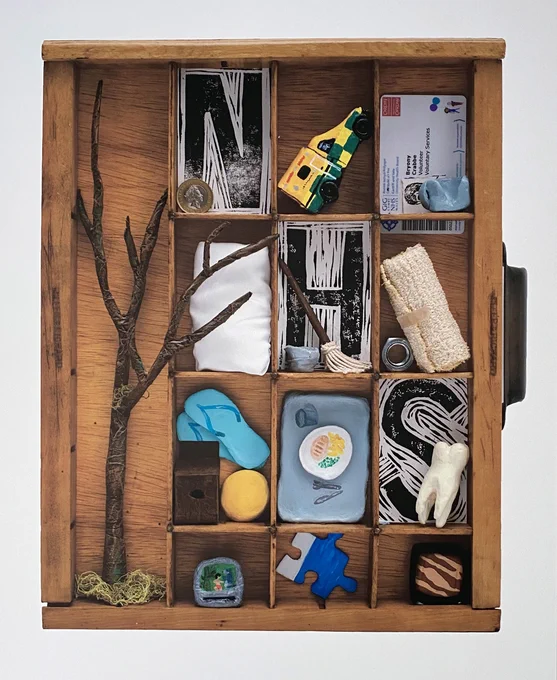 The NHS Collection, by Bryony Crabbe