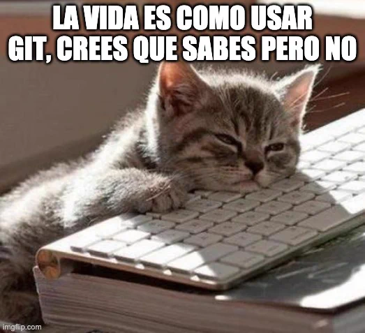 Meme de un gatito apoyado sobre el teclado y pone "la vida es como usar git, crees que sabes pero no"