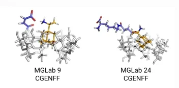 Representative structures for R-rimantidine bound in its secondary orientation to the hosts MGLab 24 and MGLab 9 when simulated with GAFF 1.81 and CGenFF force fields