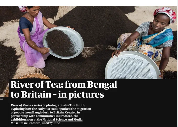 The Guardian - screenshot of Rivers of Tea article