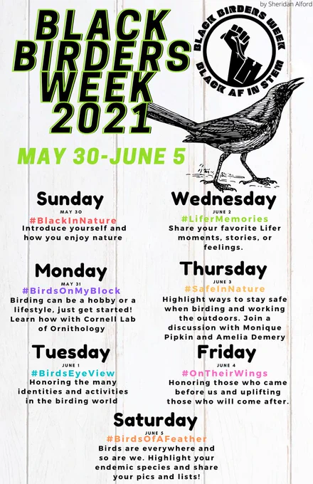 At the top of the flyer is the Black Birders Week logo, the Black Power fist, holding the strap of a pair of binoculars. Image is encircled by the words ‘Black Birders Week 2021 Black AF in STEM’. There is also an old school animal illustration inspired drawing of a Great-tailed grackle next to the logo.

The text on the flyer reads:
May 30 - June 5

Sunday:
#BlackInNature
Introduce yourself and how you enjoy nature

Monday:
#BirdsOnMyBlock
Birding can be a hobby or a lifestyle, just get started! Learn how with Cornell Lab.

Tuesday:
#BirdsEyeView
Honoring the many identities and activities in the birding world

Wednesday:
#LiferMemories
Share your favourite Lifer moments, stories, or feelings.

Thursday:
#SafeInNature
Highlight ways to stay safe when birding and working outdoors. Join a discussion with Monique Pipkin and Amelia Demery.

Friday:
#OnTheirWings
Honoring those who came before us and uplifting those who will come after.

Saturday:
#BirdsOfAFeather
Birds are everywhere and 