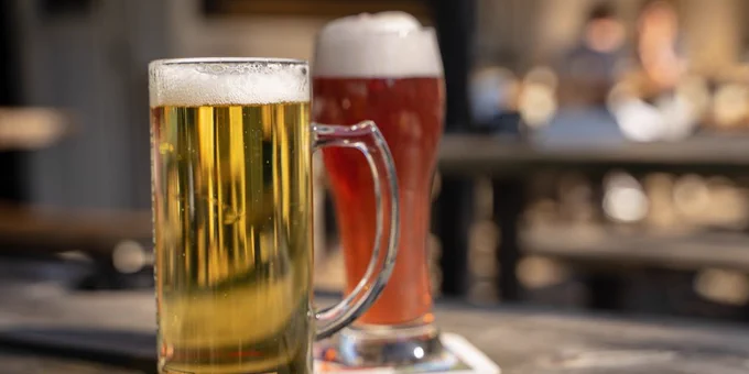 beer, beer garden, drink