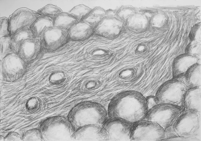 By Phil: Charcoal running river over small boulders with large circular smudged rocks either side.
