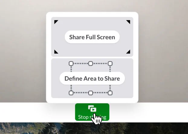 Screenshot of a menu letting you decide if you want to share your entire screen, or just a portion of it.