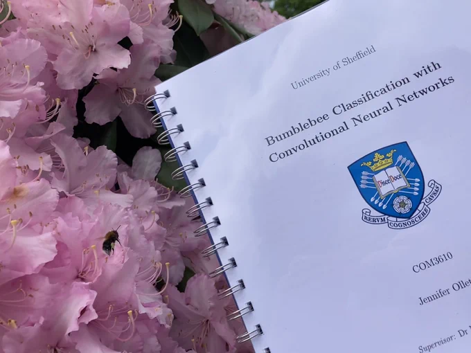 Dissertation titled “Bumblebee Classification with Convolutional Neural Networks” next to some flowers and a bee.