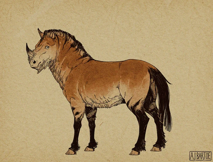 A digital illustration of a unicorn resembling a striped Przewalski's horse with a small rhinoceros horn. It is drawn in a style resembling sepia-toned ink and watercolor.