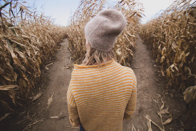 data driven decision in farming