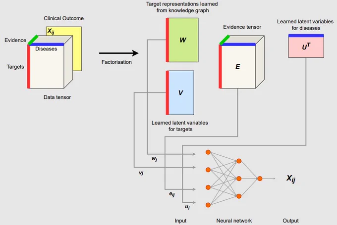 Figure 3: Schema of the proposed model.