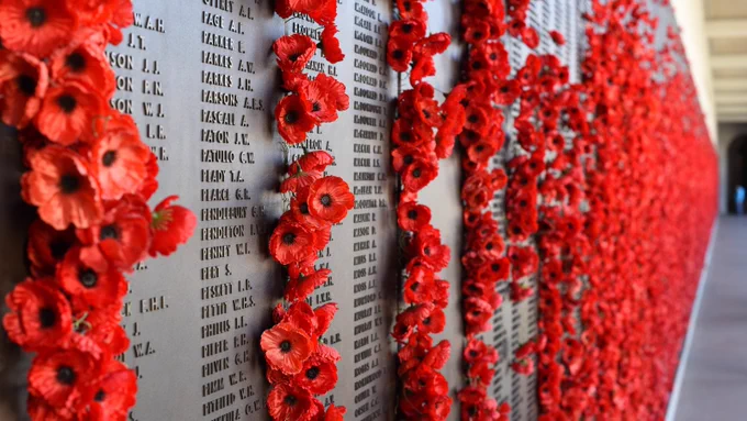 Red poppy flowers are pinned to the wall of remembrance of the names of soldiers who died in war. 