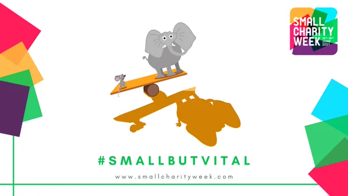 Elephant and mouse on a seesaw with hashtag SmallButVital