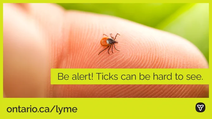 Image text : Be alert! Ticks can be hard to see. 