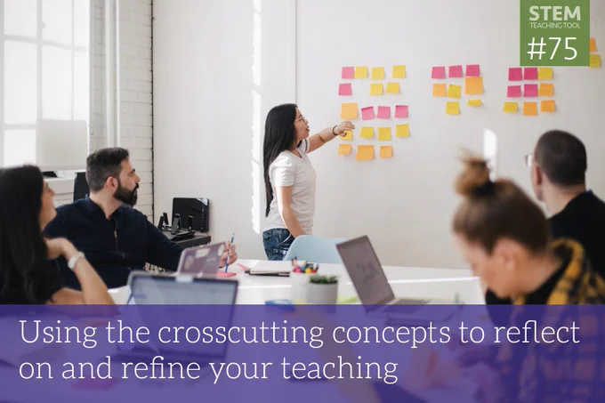 Image and title of the linked resource. The title is: Using the crosscutting concepts to reflect on and refine your teaching