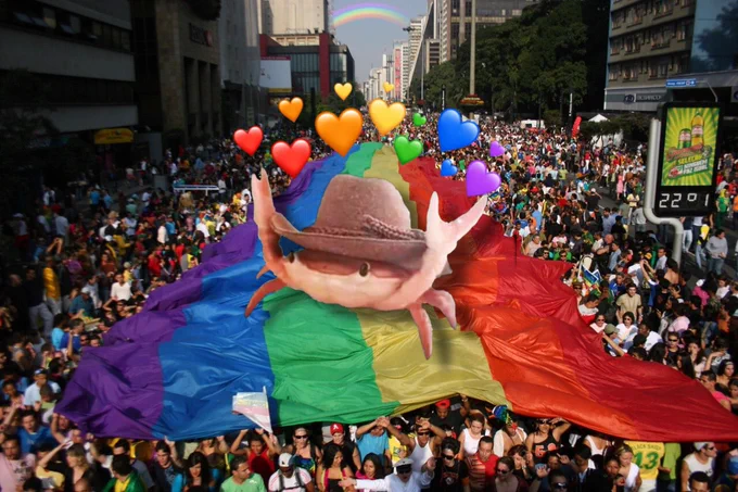 caranguejo com chapéu de cowboy em cima da bandeira LGBT na Parada LGBT de São Paulo