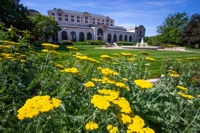 Yellow summer blossoms frame a view of the Memorial Union and fountain. 