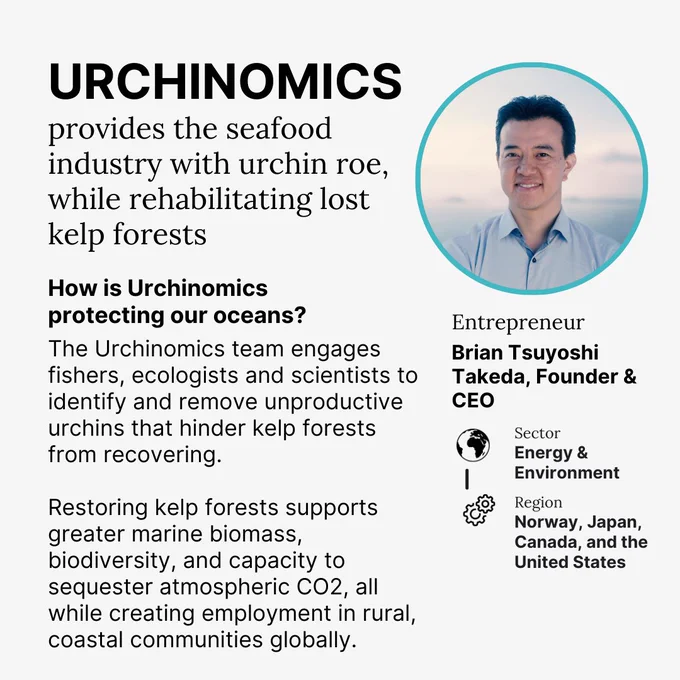 URCHINOMICS
provides the seafood industry with urchin roe, while rehabilitating lost kelp forests
How is Urchinomics protecting our oceans?
The Urchinomics team engages fishers, ecologists and scientists to identify and remove unproductive urchins that hinder kelp forests from recovering.
Restoring kelp forests supports greater marine biomass, biodiversity, and capacity to sequester atmospheric CO2, all while creating employment in rural, coastal communities globally.

Entrepreneur
Brian Tsuyoshi Takeda, Founder & CEO

Sector
Energy & Environment

Region
Norway, Japan, Canada, and the United States