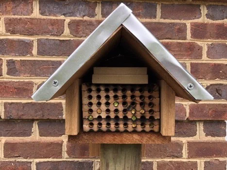 Bee Houses