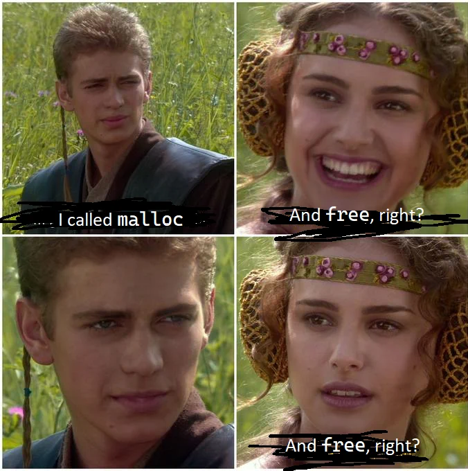 Four panel comic:
1: Anakin Skywalker says "I called malloc"
2: Padme laughs and says "And free, right?"
3: Anakin gives her a look that says "you know the answer"
4: Padme looks dissapointed "And free, right?"