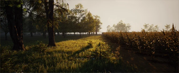 Lush field on a sunny day