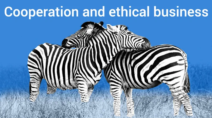 zerbras cooperate - possibly better than humans in business...