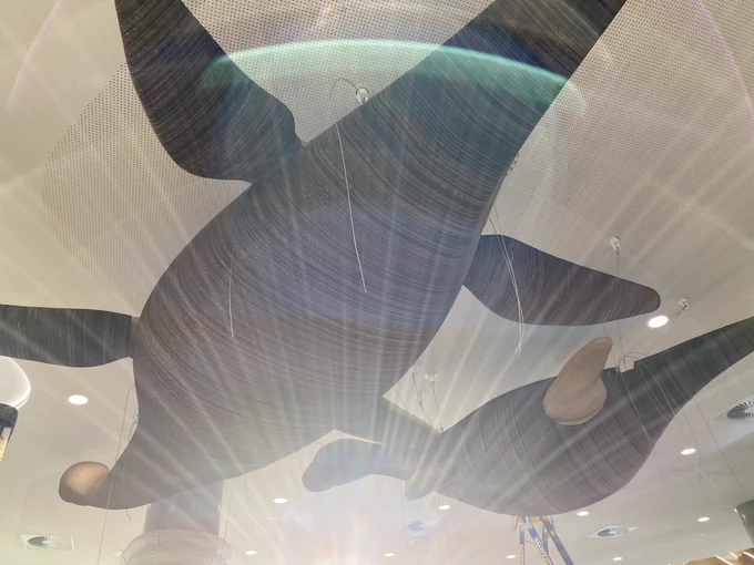 Pleisosaurs sail into the afternoon sun