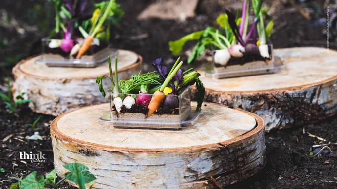 Vegetable crudite with micro veggies, presented by Neuman's Kitchen