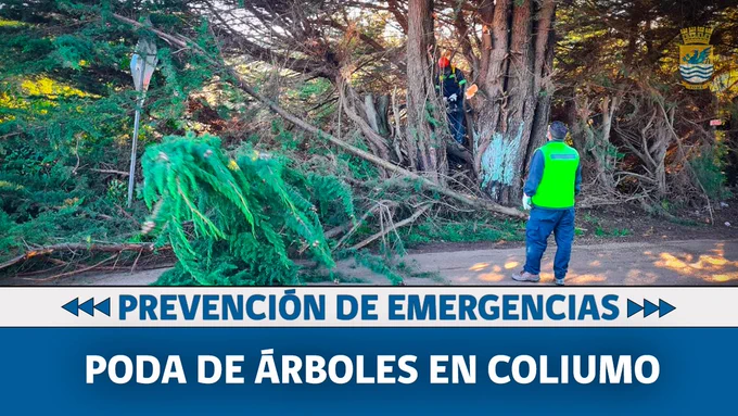 𝗠𝗨𝗡𝗜𝗖𝗜𝗣𝗜𝗢 𝗘𝗡 𝗧𝗘𝗥𝗥𝗘𝗡𝗢👇

Equipo de la Dirección de Aseo, Ornato y Medio Ambiente, junto a personal de la Delegación Municipal de Dichato, se encuentran trabajando en el sector de Coliumo realizando podas de árboles de gran tamaño, esto enmarcado en el Plan  Invierno y así evitar emergencias como cortes del suministro eléctrico o daños a la propiedad privada.

#MunicipalidadTomé
#EnCasaSeguros
#MunicipioEnTerreno