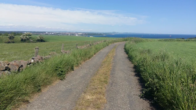 Gravel farm track in between fields