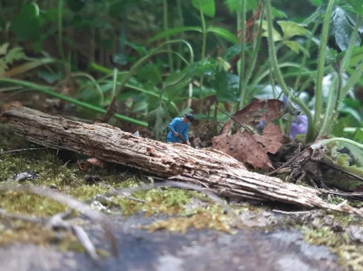 A small figurine of a man digging is surrounded by nature, playing with scale, which makes it look like the grass is a forest.