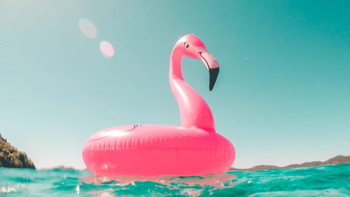 Photo by Vicko Mozara on Unsplash