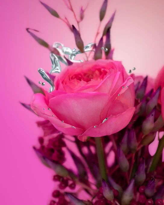 Rose with metallic splash