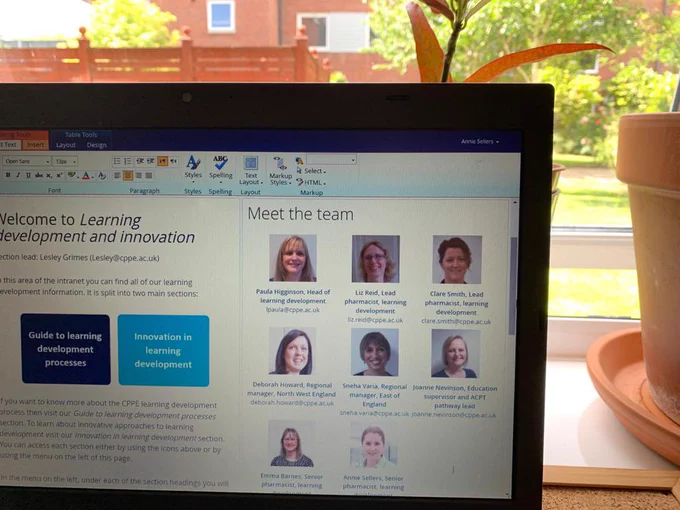 An image of the CPPE learning development intranet home page
