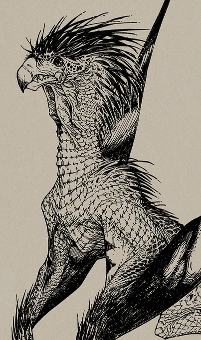The same "pen and ink" dragon illustration but zoomed in closer to the face.