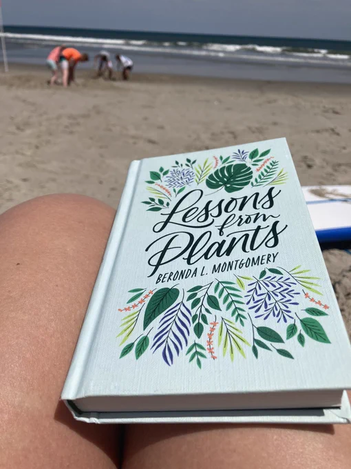 A book in a lap, with sand and the ocean in the background
