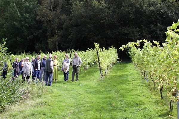 Wythall Estate Vineyard Tour